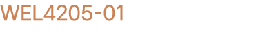 WEL4205 01