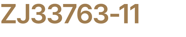 ZJ33763 11