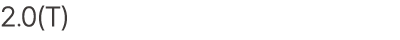 2.0(T)
