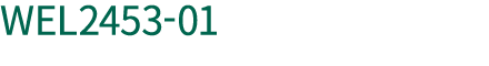 WEL2453 01