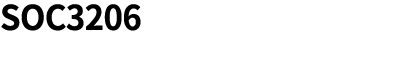 SOC3206