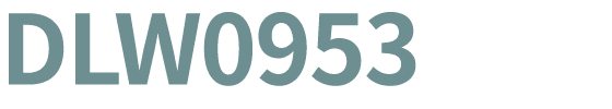 DLW0953
