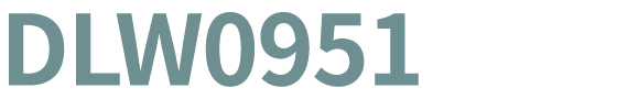 DLW0951