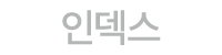 인덱스