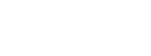 DLT 0946 비스크