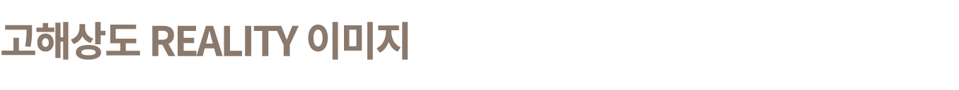고해상도 reality 이미지 