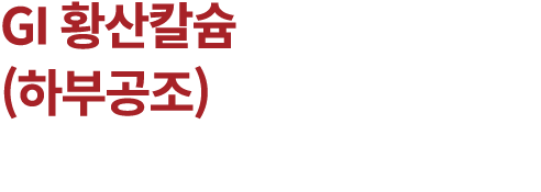 GI 황산칼슘 (하부공조)