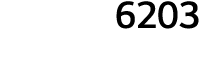 6203