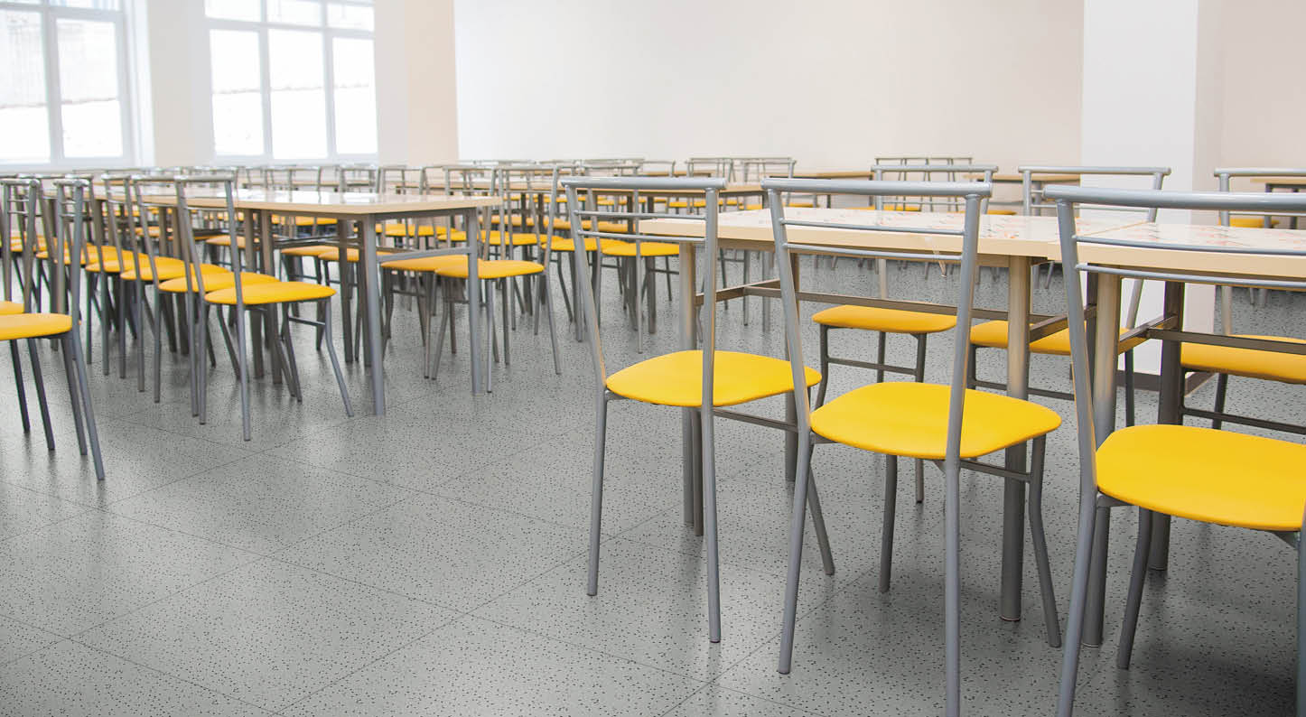 Modern new school building  Cafeteria in modern school