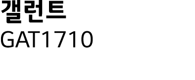     GAT1710