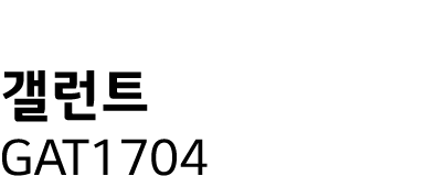     GAT1704